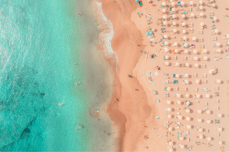 Lecturas de verano: recomendaciones de nuestro equipo para leer estas vacaciones